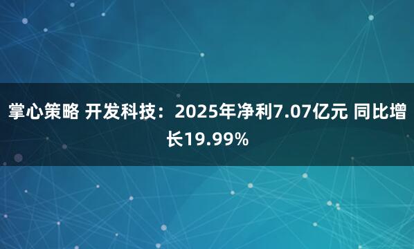掌心策略 开发科技：2025年净利7.07亿元 同比增长19.99%