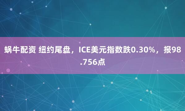 蜗牛配资 纽约尾盘，ICE美元指数跌0.30%，报98.756点
