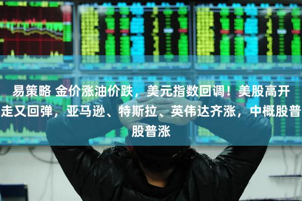 易策略 金价涨油价跌，美元指数回调！美股高开低走又回弹，亚马逊、特斯拉、英伟达齐涨，中概股普涨