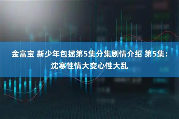 金富宝 新少年包拯第5集分集剧情介绍 第5集：沈寒性情大变心性大乱