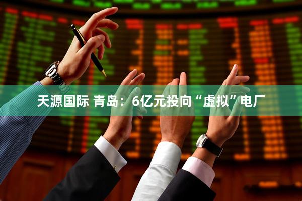 天源国际 青岛：6亿元投向“虚拟”电厂