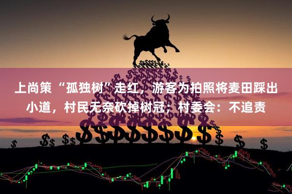 上尚策 “孤独树”走红，游客为拍照将麦田踩出小道，村民无奈砍掉树冠；村委会：不追责