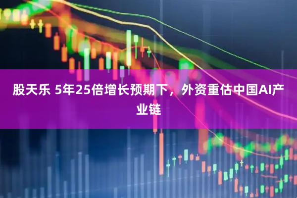 股天乐 5年25倍增长预期下，外资重估中国AI产业链