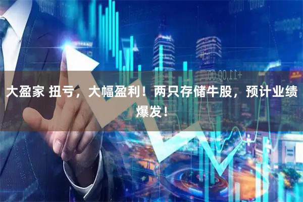 大盈家 扭亏，大幅盈利！两只存储牛股，预计业绩爆发！
